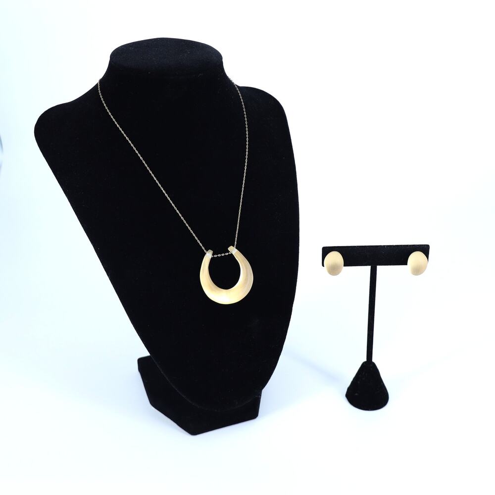 Alexis Bittar Lucite Gold Horseshoe Pendant Necklace and Earrings 3pc Set